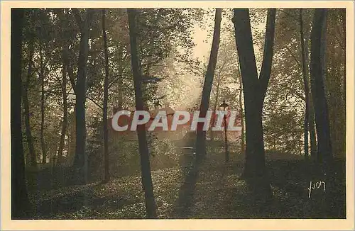 Ansichtskarte AK Lyon (Rhone) Un coin du Parc de la Tete d'Or