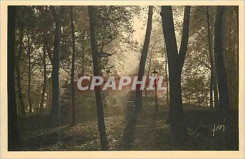 Cartes postales Lyon (Rhone) Un coin du Parc de la Tete d'Or