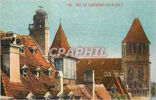 Cartes postales Nid de Cigognes en Alsace