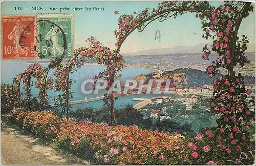 Cartes postales Nice Vue prise entre les fleurs