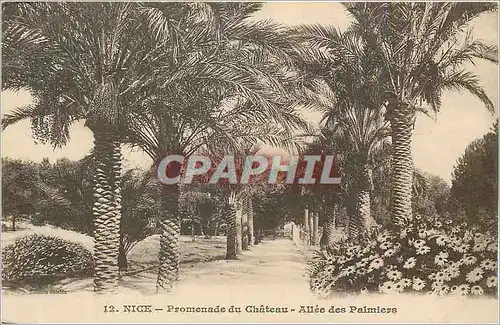 Cartes postales Nice Promenade du Chateau Allee des Palmiers