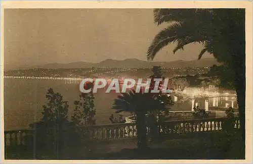 Cartes postales Nice Feerie nocturne