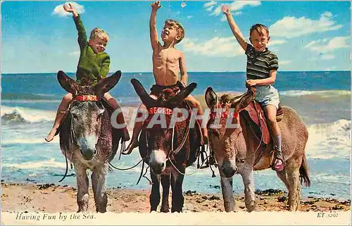 Moderne Karte Having fun by the sea An eDonkey