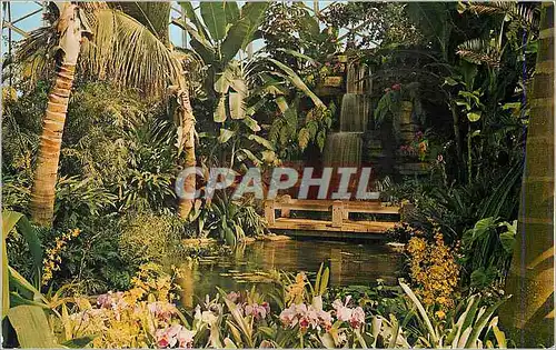 Cartes postales moderne United States Mitchell Park Horticultural Conservatory in Milwaukee