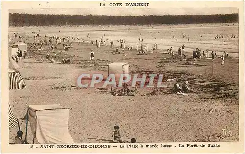 Cartes postales Saint Georges de Didonne La Plage a maree basse La Foret de Suzac