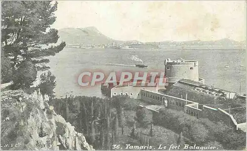 Cartes postales Tamaris Le fort Balaguier