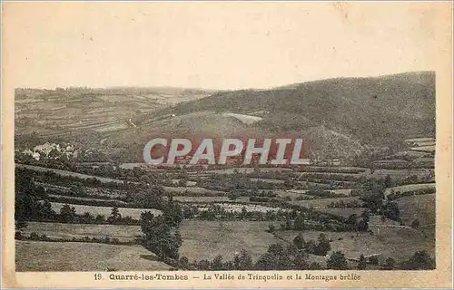 Cartes postales Quarre les Tombes La Vallee de Trinquelin et la Montagne brulee