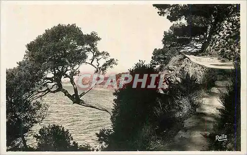 Cartes postales moderne Environs de Toulon Corniche du Cap Brun