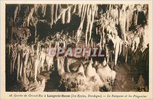Ansichtskarte AK Grotte du Grand Roc a Laugerie Basse La Banquise et les Pingouins