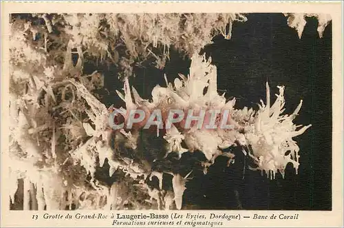Cartes postales Grotte du Grand Roc a Laugerie Basse