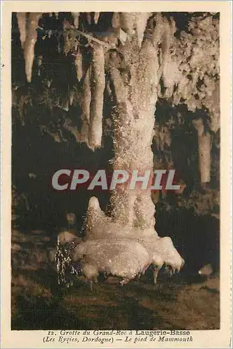 Ansichtskarte AK Grotte du Grand Roc a Laugerie Basse Le pied de Mammouth