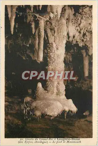 Cartes postales Grotte du Grand Roc a Laugerie Basse Le pied de Mammouth