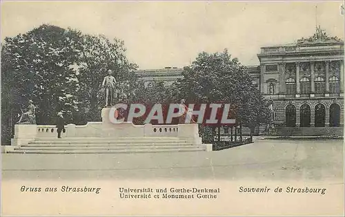 Cartes postales Souvenir de Strasbourg Universite et Monument Goethe