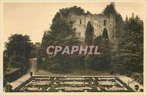 Cartes postales Chateau de Langeais Les Ruines
