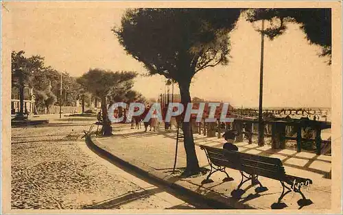 Cartes postales Arcachon Gironde Le boulevard promenade