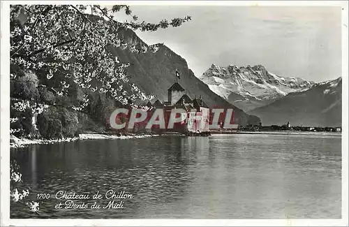 Cartes postales moderne Chateau de Chillon et Dents du Midi