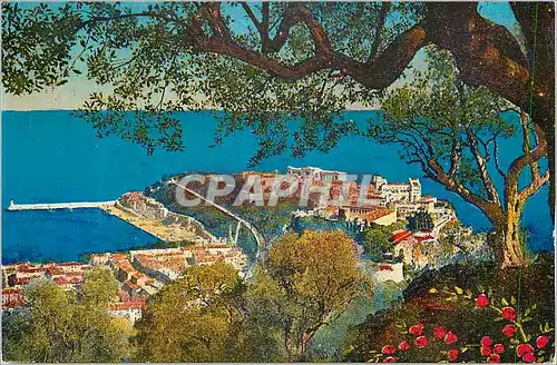 Cartes postales Monaco Le Rocher