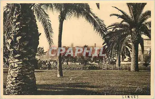 Cartes postales Cannes Alpes Maritimes Jardins de l Esplanade de la Croisette