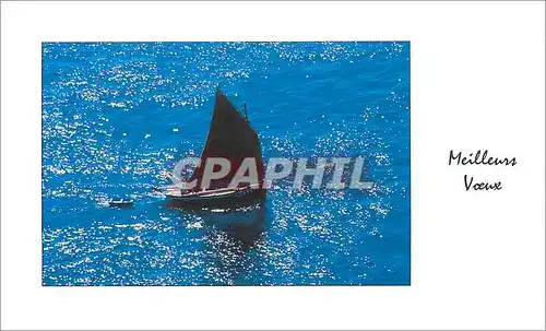 Cartes postales Meilleurs Voeux