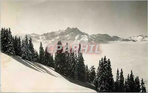 Cartes postales moderne Bretaye les Dts du Midi