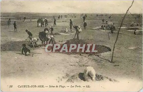 Cartes postales Cayeux sur Mer Seine de Plage Les Forts