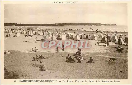 Ansichtskarte AK Saint Georges de Didonne La Plage Vue sur la Foret a la Pointe de Suzac