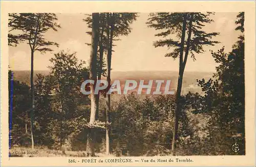 Cartes postales Foret de Compiegne Vue du Mont du Tremble