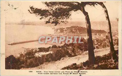 Cartes postales Nice Vue prise entre les Pins du Mont Boron