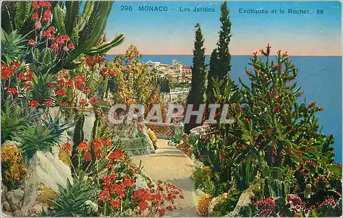 Cartes postales Monaco Les jardins Exotiques et le rocher