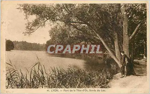 Cartes postales Lyon Parc de la Tete d Or Bords du Lac