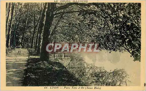 Cartes postales Lyon Parc Tete d Or Sous Bois