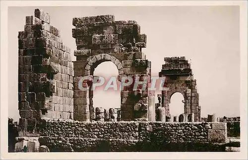 Cartes postales moderne Tunisie