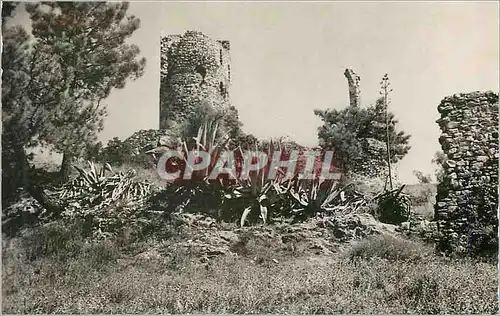 Cartes postales moderne Grimaud Var Ruines du Chateau