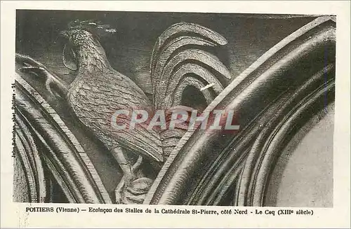 Cartes postales Poitiers Vienne Ecoincon des Stalles de la Cathedrale St Pierre Cote Nord Le Coq