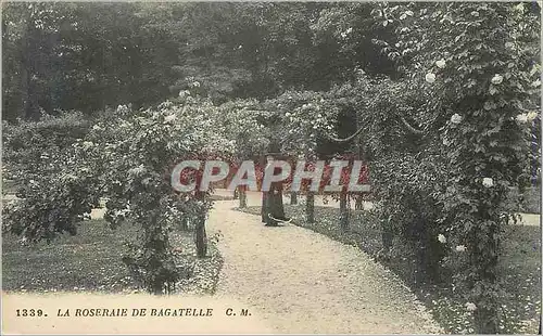 Cartes postales La Roseraie de Bagatelle