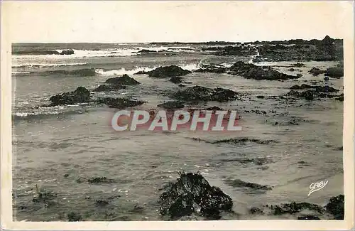 Cartes postales moderne Les Sables d'Olonne Vendee La Cote Sauvage