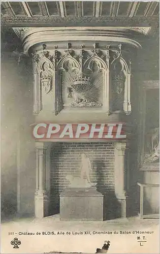 Cartes postales Chateau de Blois Aile de Louis XII Chaminee du Salon d Honneur