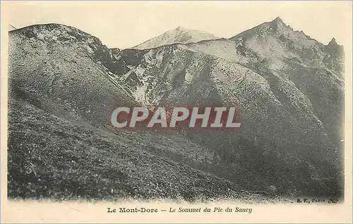Cartes postales Le Mont Dore Le Sommet du Pic du Sancy