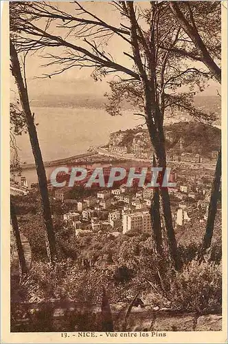 Cartes postales Nice Vue entre les pins