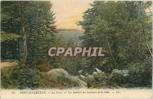 Cartes postales Fontainebleau La Foret Les Sentiers des bauteurs de la Solle