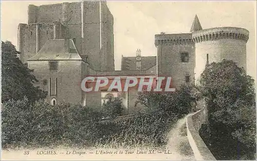 Cartes postales Loches Le Donjon L Entree et la Tour Louis XI