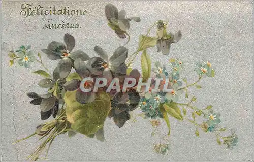 Cartes postales Felicitations sinceres