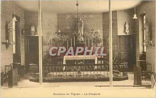 Cartes postales Domaine de Pigeon Le Chapelle