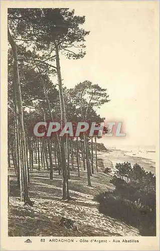 Ansichtskarte AK Arcachon Cote d Argent Aux abatilles