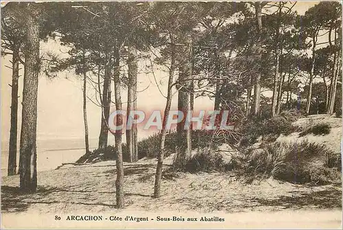 Ansichtskarte AK Arcachon Cote d Argent Sous bois aux Abatilles