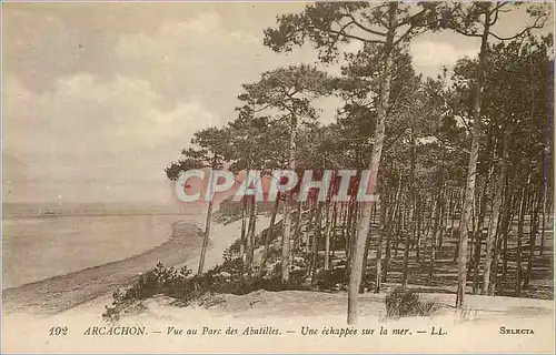 Ansichtskarte AK Arcachon Vue au Parc des Abatilles Une echappee sur la mer