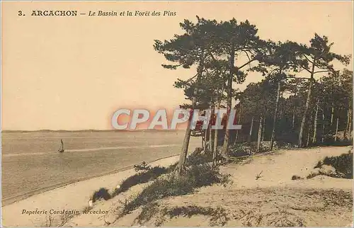 Ansichtskarte AK Arcachon Le Bassin et la Foret des Pins