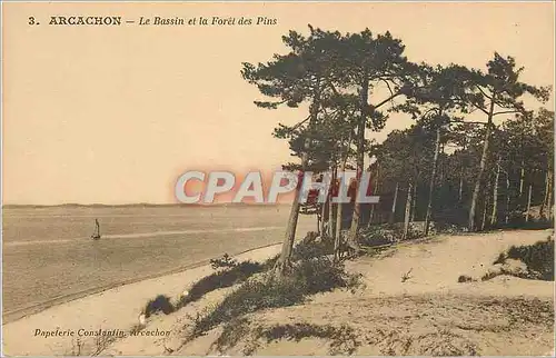 Cartes postales Arcachon Le Bassin et la Foret des Pins