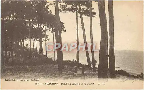 Cartes postales Arcachon Bord du Bassin a la foret