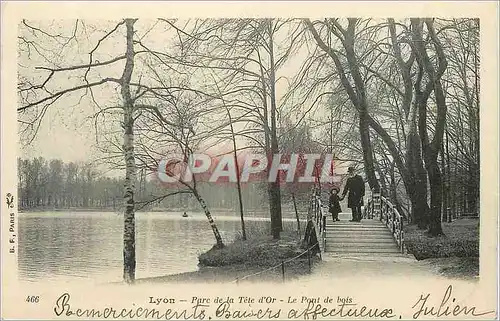 Cartes postales Lyon Parc de la Tete d Or Le Pont de bois (carte 1900)